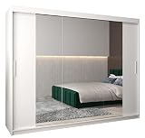 MEBLE KRYSPOL Kleiderschrank mit Spiegel Tokyo 2 - Garderobenschrank - Schrank Schlafzimmer - Mehrzweckschrank DREI Schiebetüren - Regalen - Flur Möbel - Kleiderstange Schrank - Allzweckschrank