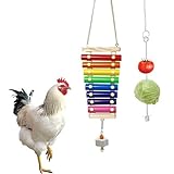 JanYoo 2Pcs Hühner Spielzeug, Xylophon Hühnerspielzeug mit 8 Metallschlüsseln und Schleifstein,Vogelspielzeug Hängen Huhn Gemüsehalter Lebensmittelhalter für Hühnchen,Vögel,Papageien