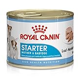 Royal Canin Hundefutter Starter mousse, 195g, 12-er Pack