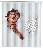 WENKO Duschvorhang Cute Cat - Textil , waschbar, wasserabweisend, mit 12 Duschvorhangringen, Polyester, 180 x 200 cm, Mehrfarbig