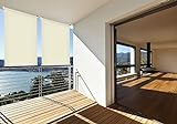 Sonnen-Schutz Außen-Rollo Balkon-Rollo B: 180 x L: 230 cm beige Creme Balkon-Sicht-Schutz 1 Stück
