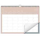 Kalender 2023 Wandkalender (Monatskalender im A4 Querformat) - Monatskalender 2023 für das ganze Jahr von Januar bis Dezember mit Ferienübersicht - Ideal als Paarkalender oder Familienplaner