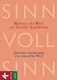 SinnVollSinn - Religion an Berufsschulen, Bd.2 : Mensch und Welt als Gottes Schöpfung, 1 DVD