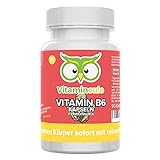 Vitamin B6 Kapseln - hochdosiert & vegan - 25mg reines Pyridoxin (Vitamin B 6) - ohne künstliche Zusätze - Qualität aus Deutschland - Vitamineule®