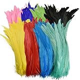 wejiay 50 Stück/Lot Bunte Hahnenfedern zum Basteln, 25–45 cm, Fasanenhahn, Hühnerschwanzfeder, Dekoration, Karnevalszubehör, Dekoration, Farben gemischt, 10–12 Zoll, 25–30