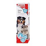 BEAPHAR - Zahngel Für Hunde Und Katzen - Zahnpflege Ohne Zahnbürste - Schützt vor Plaque Und Zahnstein - Mit Leber-Geschmack - Ohne Fluoride - Keine Bürste Erforderlich - 100 g