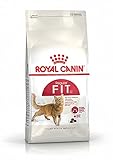 Royal Canin Feline Fit 32, 1er Pack (1 x 400 g)