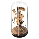 Konservierte Wendigo-Skelett im Glaskuppel Personalisierte Harz Dinosaurier-Fossil Skelett Dekor Glas Glocke Flugsaurier Ornamente Glashaube Tischdeko Geschenke für Horrorliebhaber (Flugsaurier)