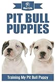 Pit Bull Puppies: Training My Pit Bull Puppy