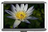 Yanteng Lotus mit traumhaften Zigarettenschachtel-Blume Hard Box und Halter (King Size)