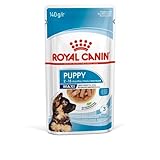 Royal Canin Maxi Puppy Welpenfutter Nass für große Hunde 10 x140g