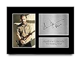 HWC Trading Andrew Lincoln A4 Ungerahmt Signiert Gedruckt Autogramme Bild Druck-Fotoanzeige Geschenk Für The Walking Dead Tv-Show-Fans