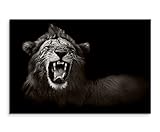 Sinus Art Fotoleinwand 60x40cm Tierfotografie – Brüllender afrikanischer Löwe schwarz weiß