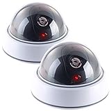 VisorTech Kamera Attrappen: 2er-Set Dome-Überwachungskamera-Attrappen, durchsichtiger Kuppel, LED (Kamera Atrappen)