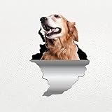 13 cm/ 15 cm/ 20 cm/ 26 cm/ 30 cm Golden Retriever Hund Haustier Tier Wasserdicht Vinyl Aufkleber Autozubehör