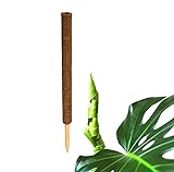BigDean Pflanzstab Kokos 60 cm - Monstera Rankhilfe Rankstab Stab Moosstab Pflanzenstab Kokosstab für Pflanzen - aus natürlicher Kokosfaser - verlängerbar