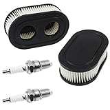 2ST Luftfilter und 2ST Zündkerzen für Briggs Stratton Motoren 550E 550EX Eco-Plus 575EX Series Luftfilter Rasenmäher Ersetzt 798339 798452 593260 093000er 09P0000er Motor 4247 5432 5432