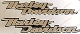 Logo-Aufkleber Harley-Davidson,Dyna Street Bob, Emblem, harzbeschichtet, 3D-Effekt, 2 Stück Für Tankdeckel oder Helm. Chrom (verspiegeltes Silber)