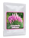 PAMPASGRAS - ca.150 Samen - Cortaderia selloana - Ziergras - der absolute Blickfang in jedem Garten