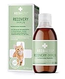 RECOACTIV Recovery Immun für Katzen, hochkalorisches Diät-Alleinfuttermittel zur Gewichtszunahme und ernährungsphysiologischen Wiederherstellung, bei Mangelernährung und hohem Energiebedarf, 280 ml