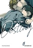 He is my Destiny: Yaoi-Einzelband aus dem Omegaverse ab 18 - mit exklusiver Sammelkarte in der ersten Auflage!