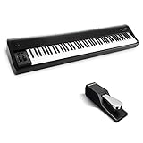 M-Audio Hammer 88 + SP-2 - USB/MIDI Keyboard Controller mit 88-Hammermechanik-Tasten + Universal Sustain Pedal mit Piano Style Action