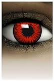 FXCONTACTS Farbige Halloween Kontaktlinsen RED FLOWER, weich, 2 Stück (1 Paar), Ohne Sehstärke