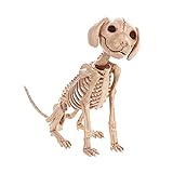 LKXHarleya Halloween Skelett Tiere Lebensgröße Tiere Skelett Knochen für Hallowmas Dekoration Spukhaus Party One Size Hund
