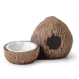 Exo Terra Höhle und Wassernapf in Form einer Kokosnuss, Wassernapf für Reptilien, Versteck für Reptilien, 1 Stück (1er Pack)