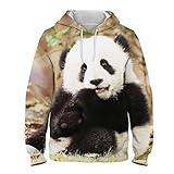 QTJY Fashion Panda 3D-gedrucktes Kapuzen-Sweatshirt, Frühlings- und Herbstsportbekleidung Hoodie, Herren- und Damen-Casual-Pullover JL