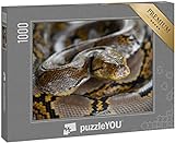 puzzleYOU: Puzzle 1000 Teile „Netzpython Schlange von Borneo, Python reticulatus“