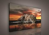 Forwall Leinwand Bilder Jaguar Afrika Safari Orange Tiere Modern Schlafzimmer Wohnzimmer Leinwandbilder groß Wandbild Kunstdruck Wandbilder Wand Bild auf Leinwand Aufhängefertig 100 x 75 cm