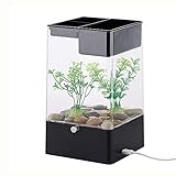 XJJZS Selbstreinigendes Fischtank faul Kleiner Acryl Goldfisch-Tank-Desktop transparenter Eimer-Fisch-Tank ökologischer Bare-Zylinder (Color : Black)