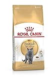 Royal Canin Feline British Shorthair, 1er Pack (1 x 4 kg Beutel) - Katzenfutter