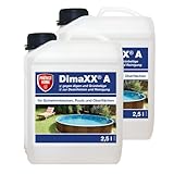 PROTECT HOME Dimaxx A Grünbelag-Entferner (ehem. Bayer Garten Dimanin A), Steinreiniger gegen Grünbeläge sowie Schwimmbecken-Hygiene gegen Schimmel und Keime, 2 x 2,5 Liter