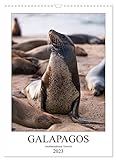 Galapagos - Atemberaubende Tierwelt (Wandkalender 2023 DIN A3 hoch), Calvendo Monatskalender