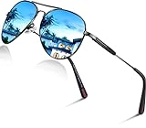 DADA-PRO Sonnenbrille Herren Pilotenbrille Damen Polarisiert Verspiegelt Retro Fahren Fahrerbrille UV400 Schutz für Autofahren Reisen Golf Party und Freizeit (A - Blau)