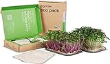 ingarden Microgreen Superfood Seed Pads | 100% Bio | Vollständig ausgewachsen in 1 Woche | 2150% höhere Nährstoffdichte als Gemüse | 1 Monatsvorrat | Energy Booster Rucola
