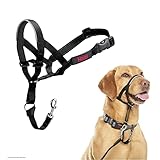 HALTI Kopfgeschirr - Verhindert, dass Ihr Hund an der Leine zieht, Einfache Anpassung, Leicht, mit gepolstertem Nasenriemen, Anti-Zug-Halsband für mittelgroße Hunde (Größe 3, Schwarz)