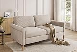 Vesgantti Stoff Doppelsofa 164cm, 2 Sitzer Sofa Beige mit beidseitigen Taschen, Sofa mit Kissen Montage ohne Werkzeug für Wohnzimmer, Schlafzimmer, Büro, kleinen Raum 164L*76D*85H