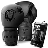 FIGHTR® Boxhandschuhe - ideale Stabilität & Schlagkraft | Punching Handschuhe für Boxen, MMA, Muay Thai, Kickboxen & Kampfsport | inkl. Tragetasche (All Black, 16 oz)