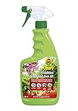 COMPO Triathlon Insekten-frei AF, Bekämpfung von saugenden und beißenden Insekten an Gemüse, Erdbeeren und Zierpflanzen, 750 ml