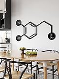 TDSEBM Dopamine Molekül-Symbol Wissenschaft Biologie Chemie Medizinisches Metall Wandkunst Dekor Schwarz Metall Kunst Dekoration Home Office