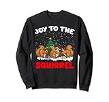 Joy To The Squirrel - Programmierer Weihnachtshumor Sweatshirt