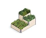 Upyard Stepped Bed - modernes Hochbeet aus Palettenrahmen - modulares, mehrstufiges Hochbeet aus Naturholz für Garten und Terrasse, 120x80x58,5, Naturholz