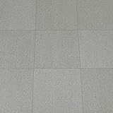 Vinylboden Selbstklebend PVC Bodenbelag Selbstklebende Grau 30x30cm 10pcs Wasserdicht Verschleißfest Geeignet für Badezimmer Küche Wohnzimmer