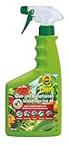 COMPO Grün- und Blühpflanzen Schädlings-frei AF, Bekämpfung von saugenden Insekten und Spinnmilben an allen Zierpflanzen, 750 ml
