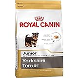 Royal Canin 35118 Breed Yorkshire Terrier Junior/puppy 1,5 kg - Hundefutter, Verpackung kann variieren