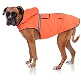 Bella & Balu Hunderegenmantel – Wasserdichter Hundemantel mit Kapuze und Reflektoren für trockene, sichere Gassigänge, den Hundespielplatz und den Urlaub mit Hund (L | Orange)