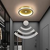 RWXSMZW LED Deckenleuchte mit Bewegungssensor Korridor runde Deckenleuchte mit Radarmelder Moderne Sensorleuchte für den menschlichen Körper, geeignet für Flur, Treppenhaus, Balkon, Balkon (Gold)